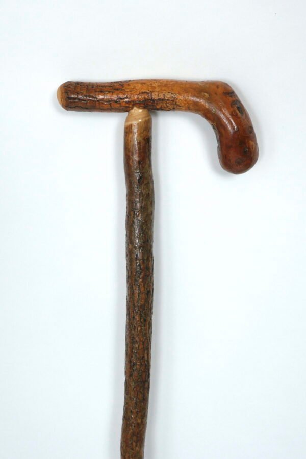 Ash Cane #2359 - Image 4