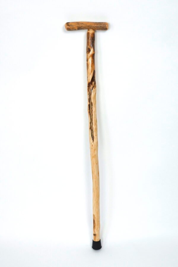 Box Elder Cane #1339 - Image 3