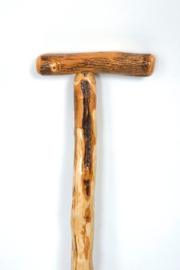 Box Elder Cane #1339 - Image 4